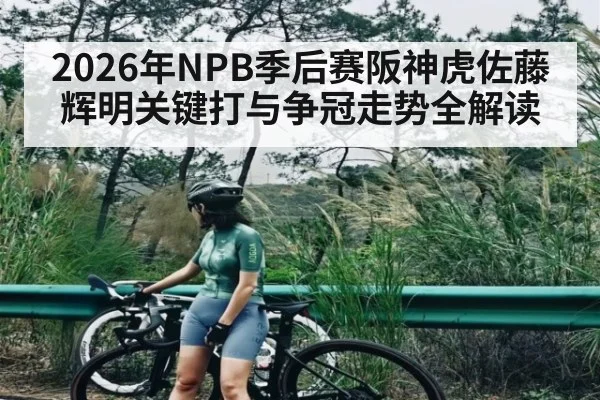 2026年NPB季后赛阪神虎佐藤辉明关键打与争冠走势全解读